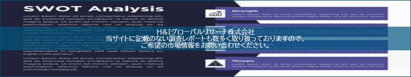 市場調査レポートのイメージ