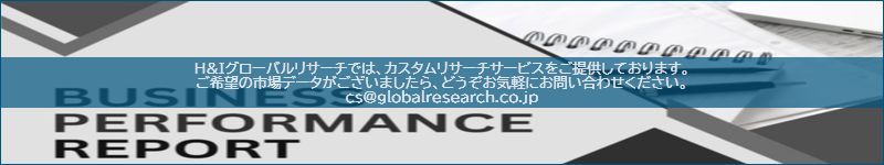 市場調査レポートのイメージ
