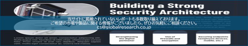市場調査レポートのイメージ