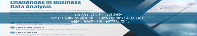 市場調査レポートのイメージ