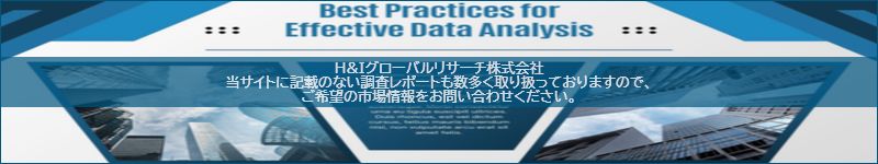 市場調査レポートのイメージ