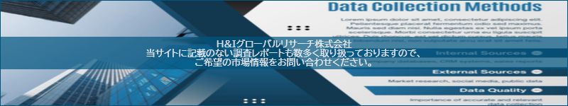 市場調査レポートのイメージ