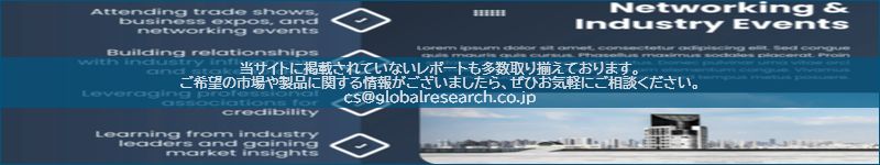 市場調査レポートのイメージ