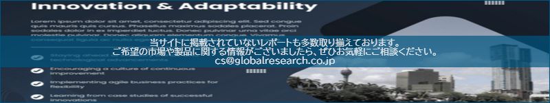 市場調査レポートのイメージ