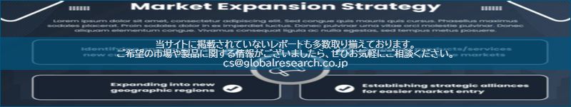 市場調査レポートのイメージ