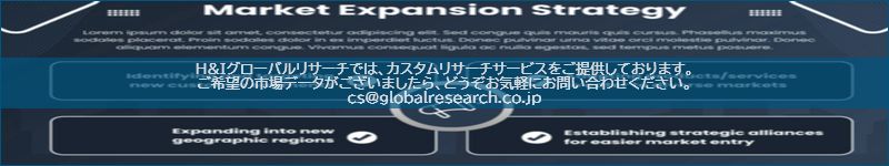 市場調査レポートのイメージ