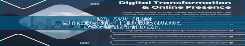 市場調査レポートのイメージ