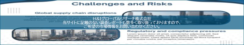 市場調査レポートのイメージ