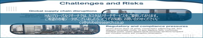 市場調査レポートのイメージ