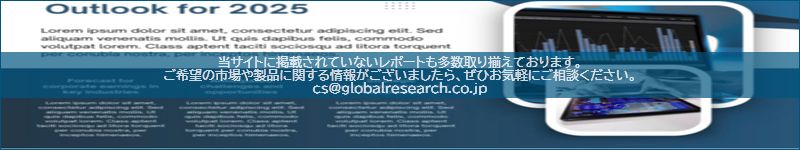 市場調査レポートのイメージ