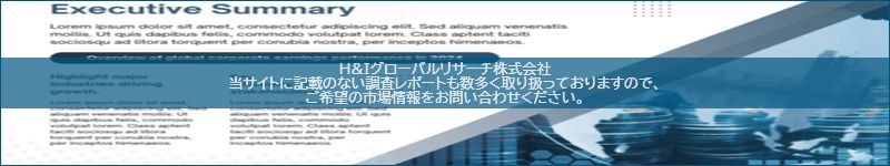 市場調査レポートのイメージ