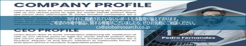 市場調査レポートのイメージ