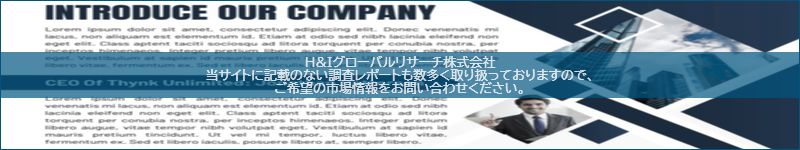市場調査レポートのイメージ