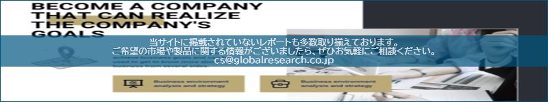 市場調査レポートのイメージ