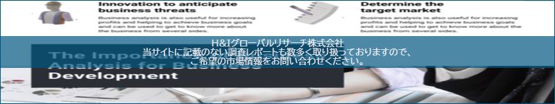 市場調査レポートのイメージ