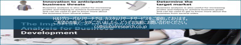 市場調査レポートのイメージ