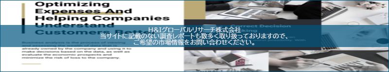 市場調査レポートのイメージ