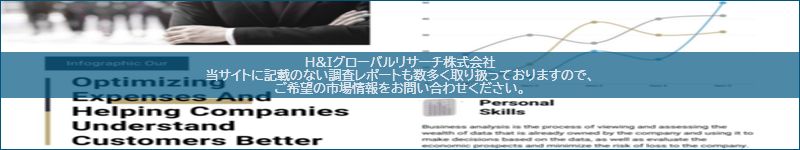 市場調査レポートのイメージ