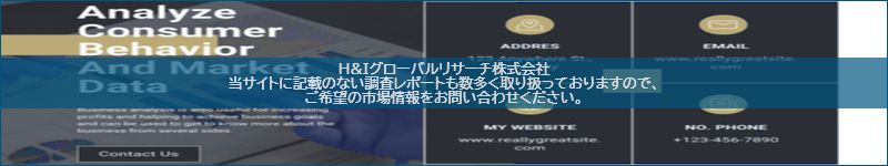 市場調査レポートのイメージ
