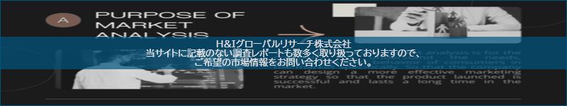市場調査レポートのイメージ