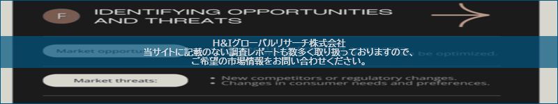 市場調査レポートのイメージ