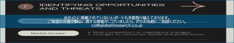 市場調査レポートのイメージ