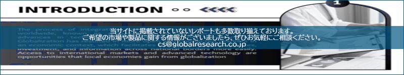 市場調査レポートのイメージ