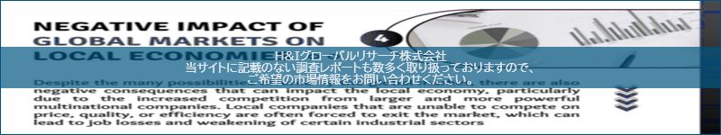 市場調査レポートのイメージ