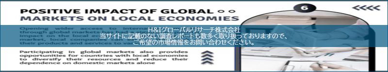 市場調査レポートのイメージ