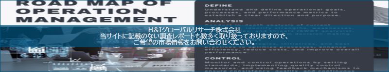 市場調査レポートのイメージ