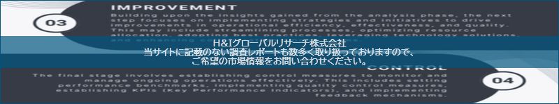 市場調査レポートのイメージ