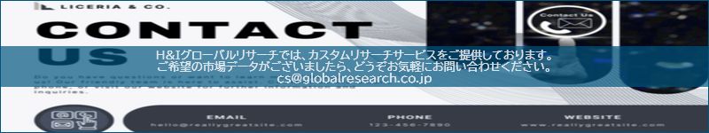 市場調査レポートのイメージ