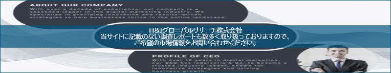 市場調査レポートのイメージ