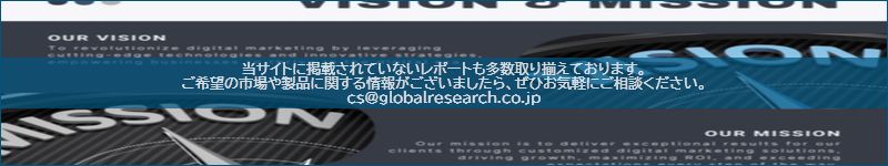 市場調査レポートのイメージ