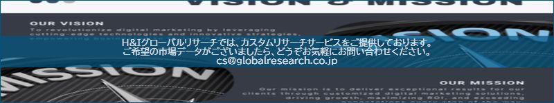市場調査レポートのイメージ