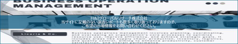 市場調査レポートのイメージ