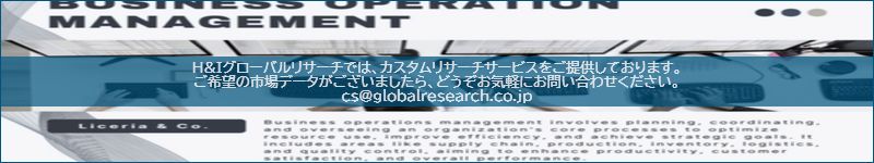 市場調査レポートのイメージ