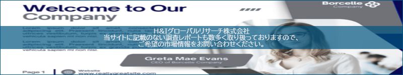 市場調査レポートのイメージ