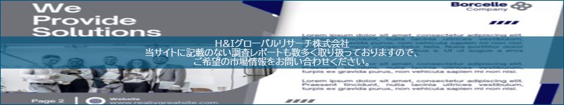 市場調査レポートのイメージ