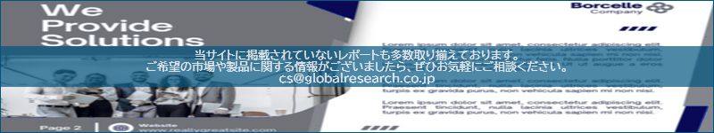 市場調査レポートのイメージ