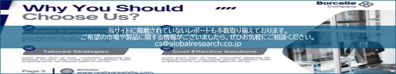 市場調査レポートのイメージ