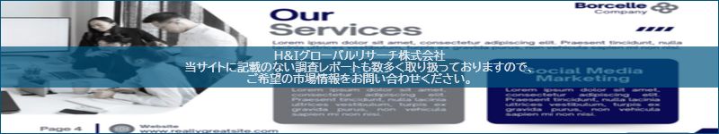 市場調査レポートのイメージ