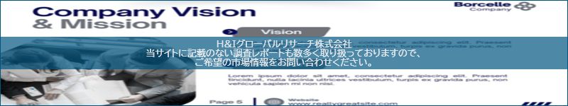 市場調査レポートのイメージ