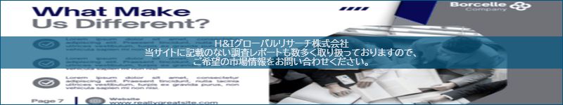 市場調査レポートのイメージ