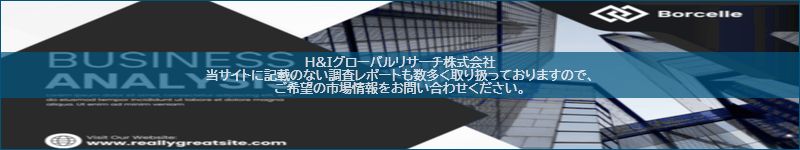市場調査レポートのイメージ