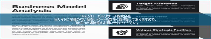 市場調査レポートのイメージ