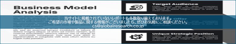 市場調査レポートのイメージ