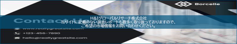 市場調査レポートのイメージ