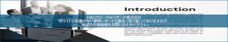 市場調査レポートのイメージ