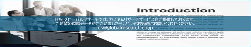 市場調査レポートのイメージ